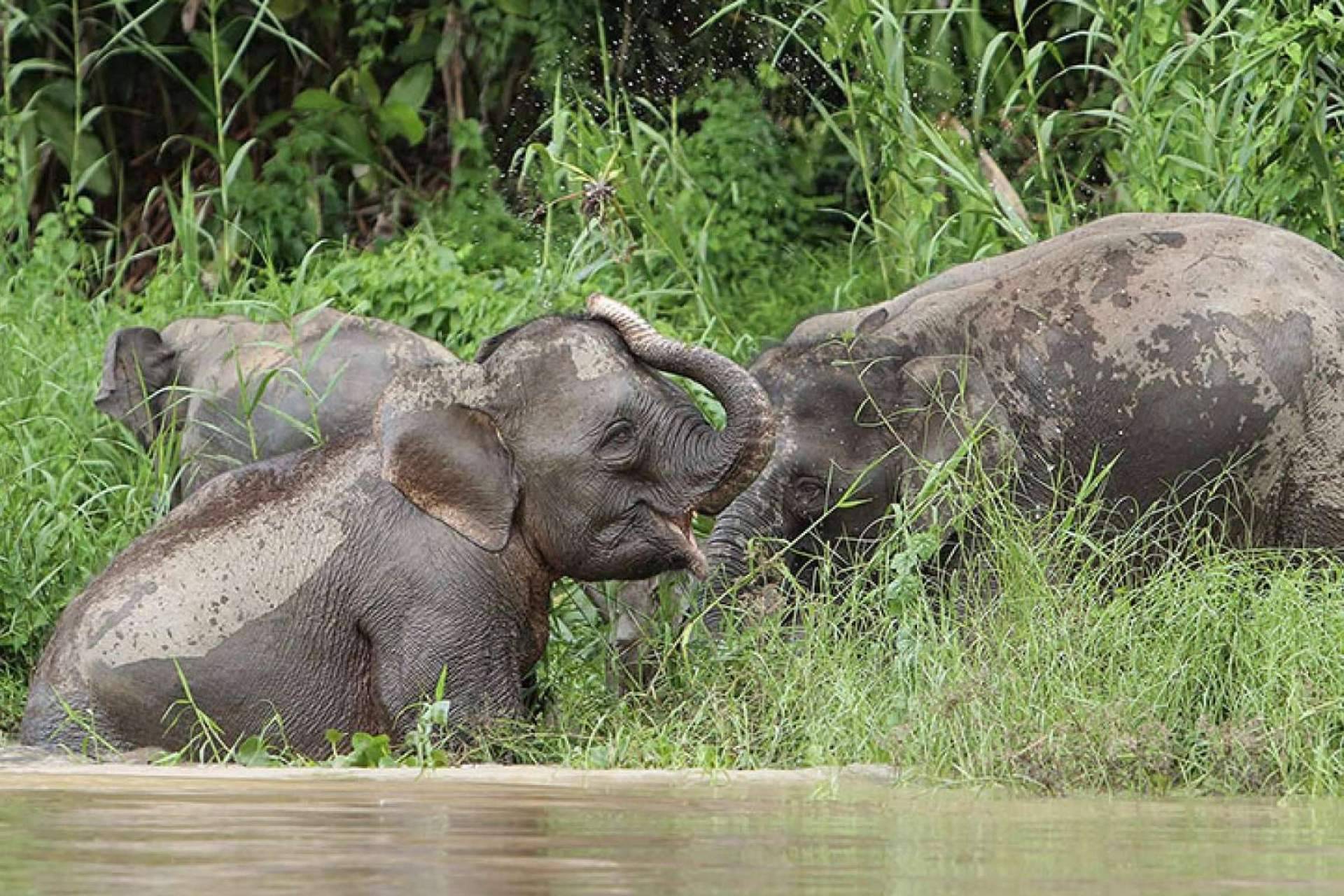 ¿Por qué el destino Sabah de Malasia es tan atractivo?