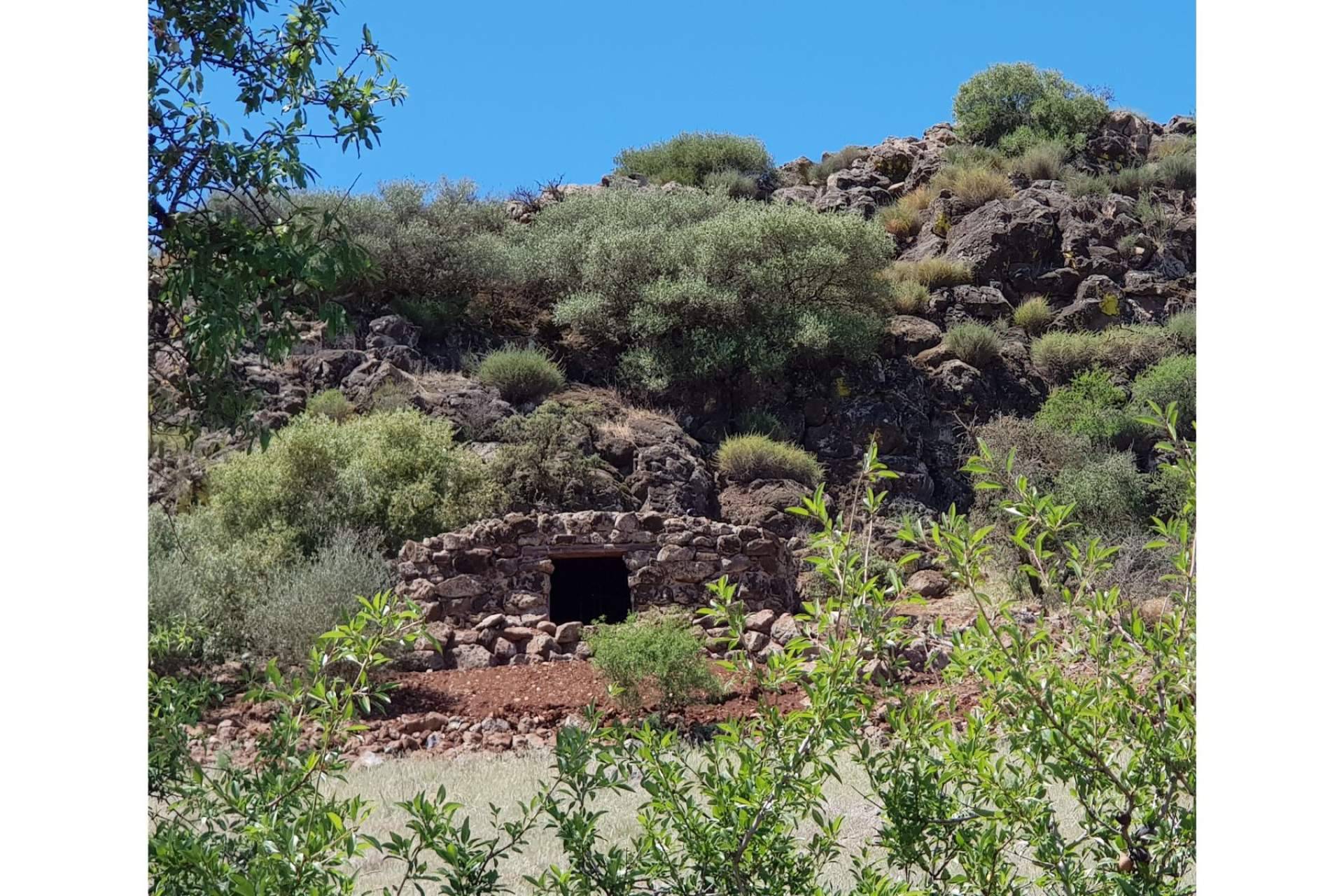 Crianza en Gruta Volcánica libre de contaminación electromagnética, un vino único de Encomienda de Cervera
