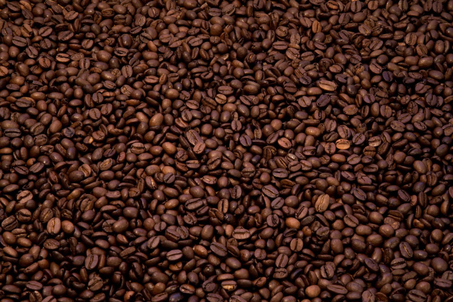 Razones para abrir una franquicia y por qué hacerlo con Italy Coffee Tea Store