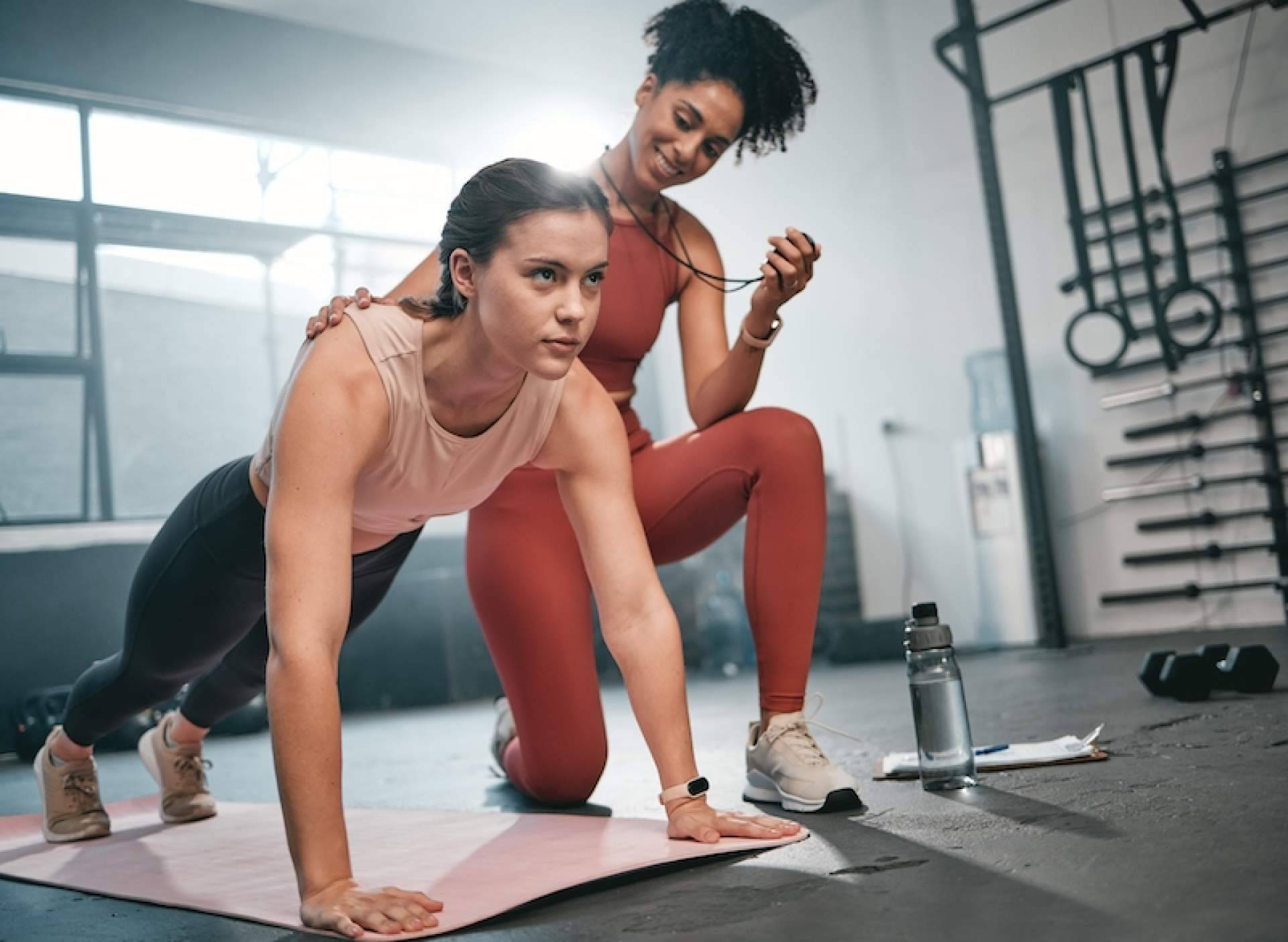 ¿Cómo contactar a profesionales en Sportalis?