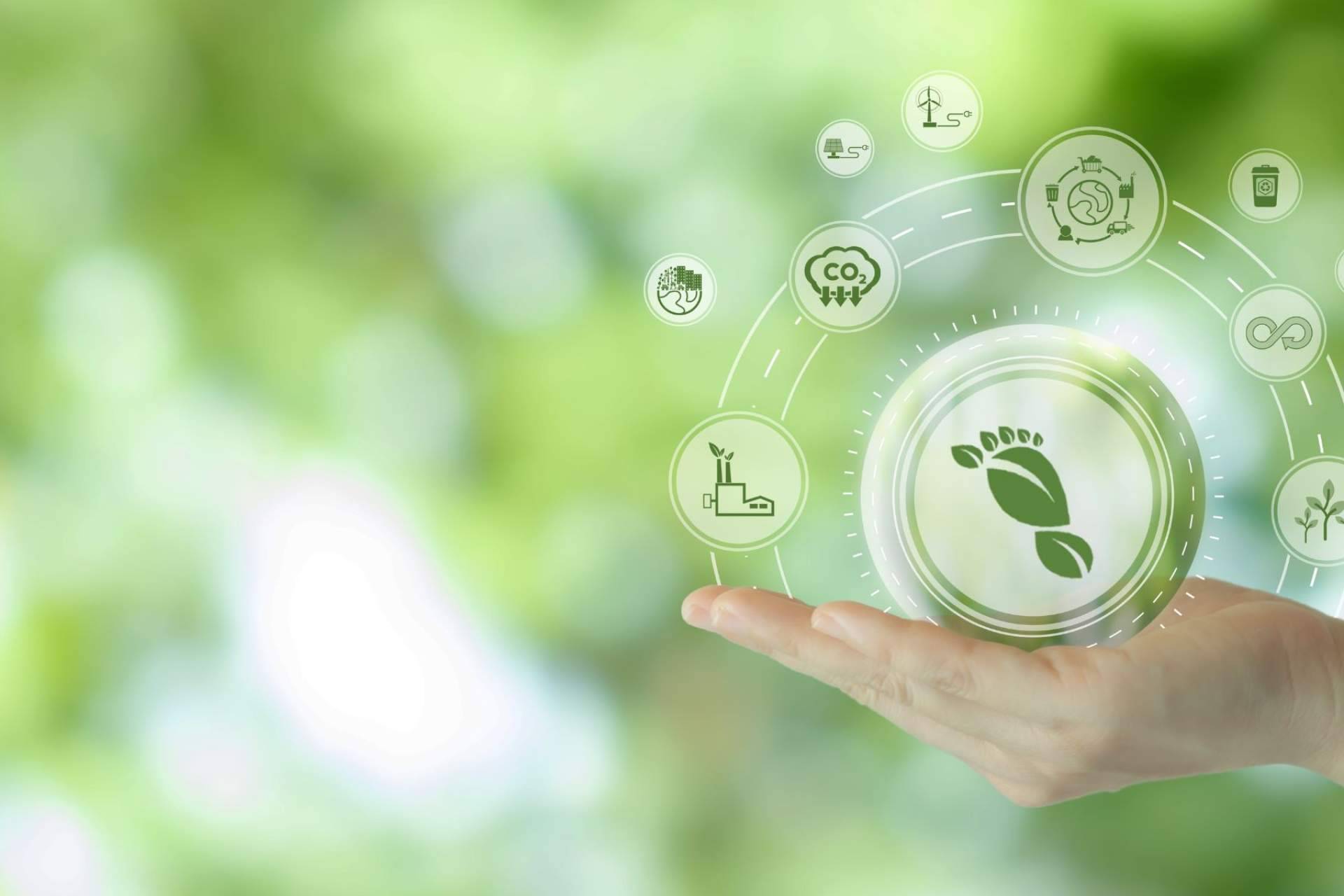 Desde 2019, Multienergía Verde reduce su huella de carbono en un 90 %
