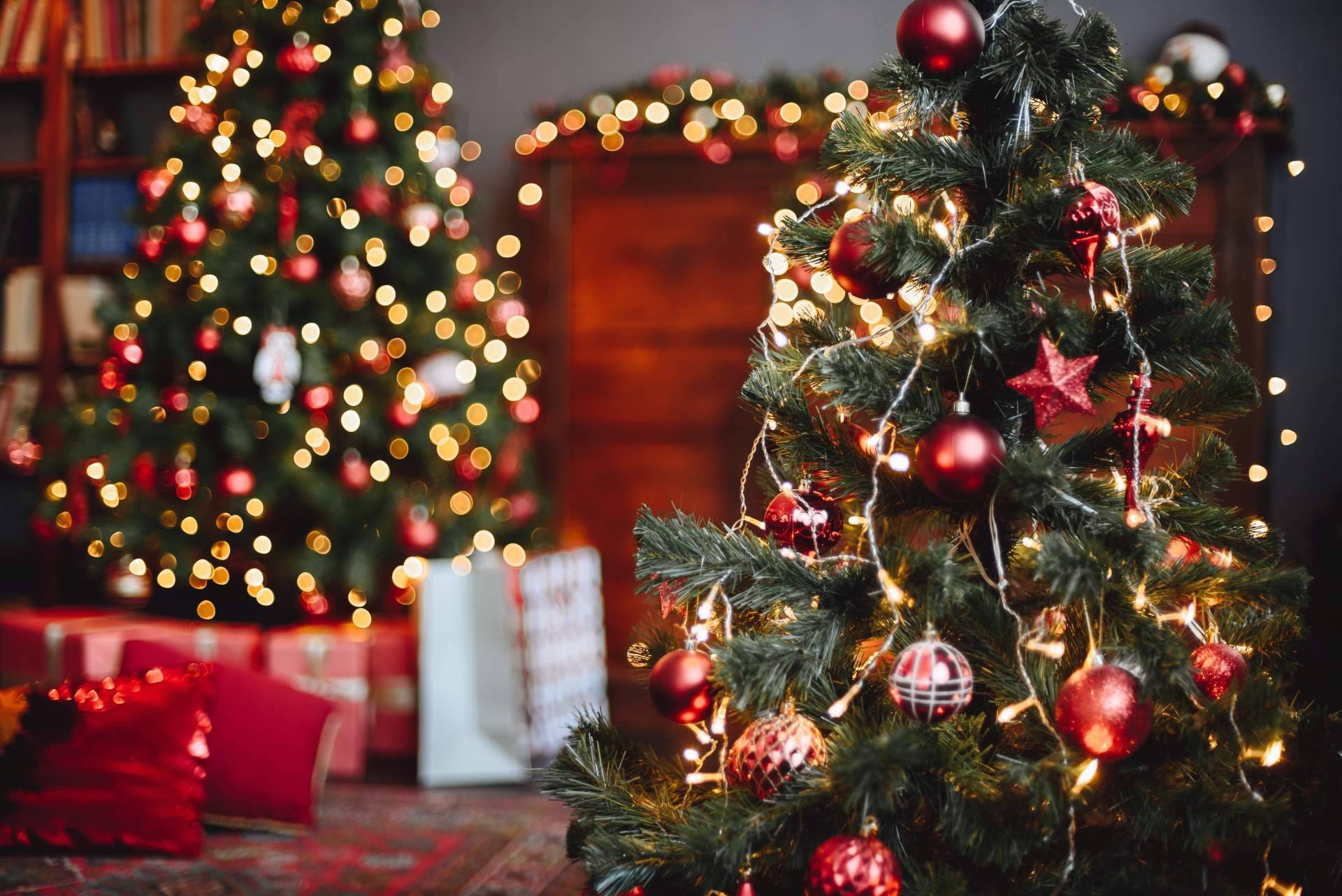 Entre Libros Editorial, el sitio para encontrar regalos Navidad