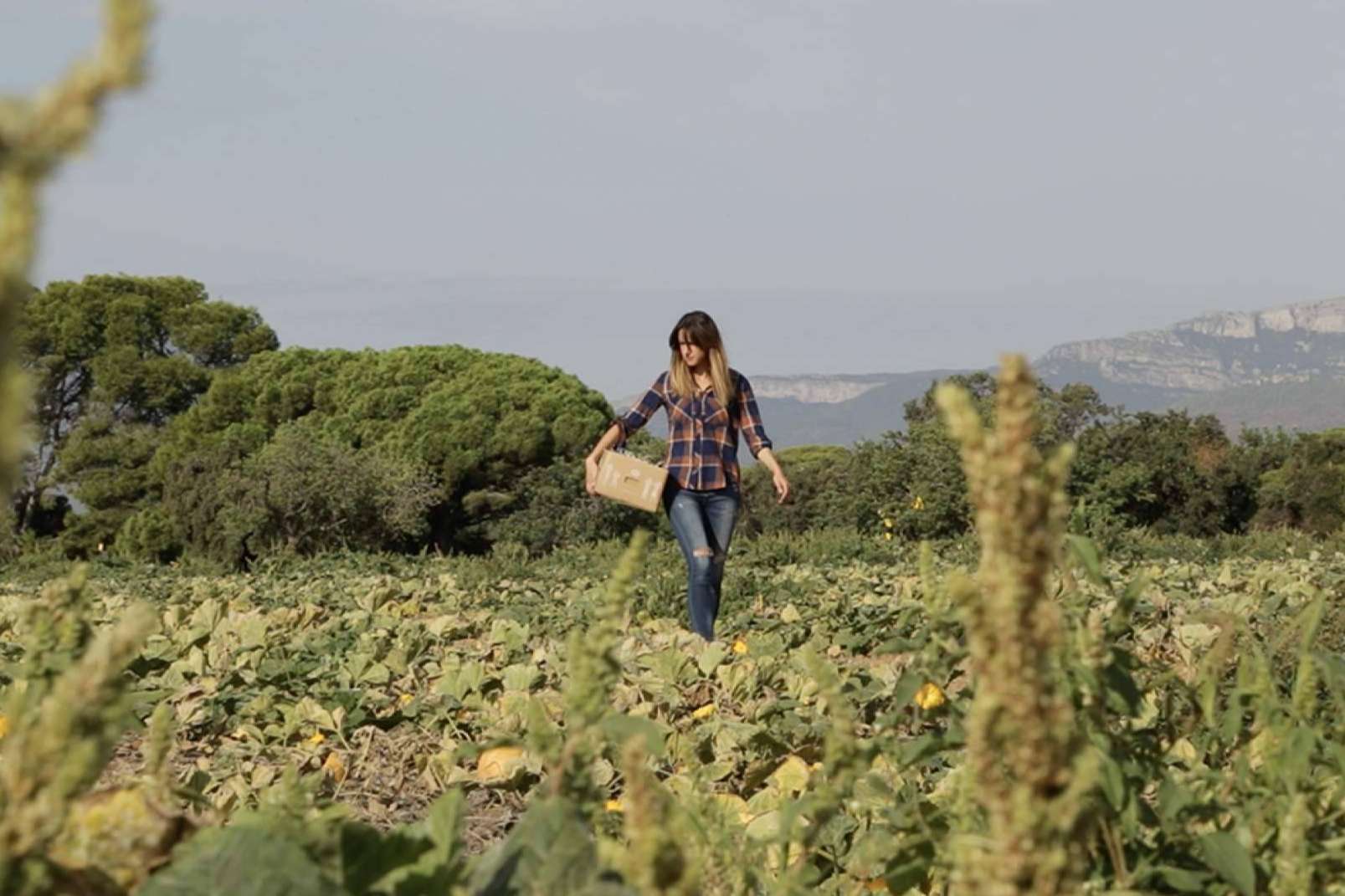 Comprar verduras online en cualquier momento y desde cualquier lugar con Disfruta y Verdura