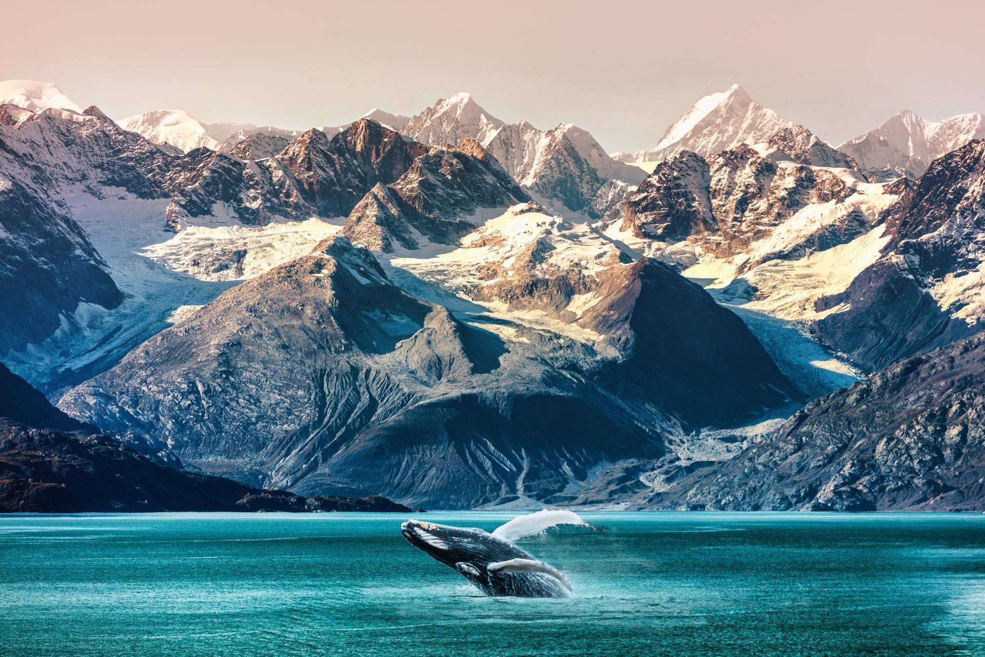 La nueva colección de viajes 2025 y el nuevo buque Allura de Oceania Cruises
