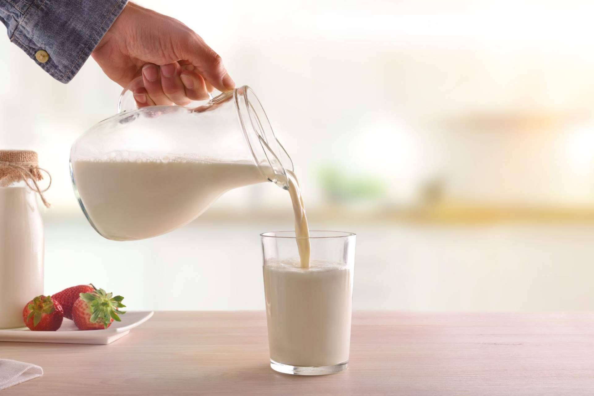 Beneficios de la leche de yegua de calidad, con eQuaid Research