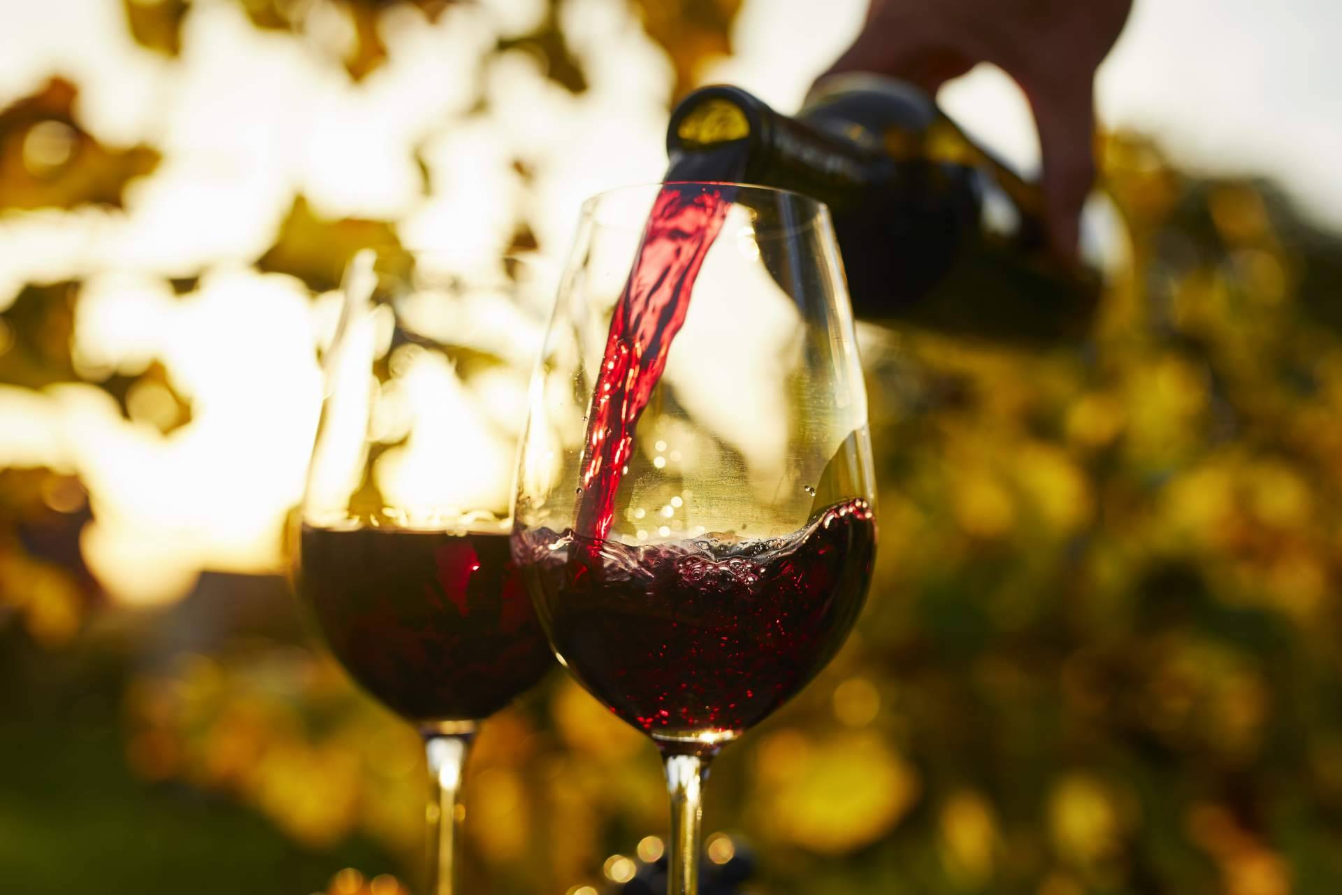 Conocer la nueva imagen del consultor de ventas en la distribución de vinos