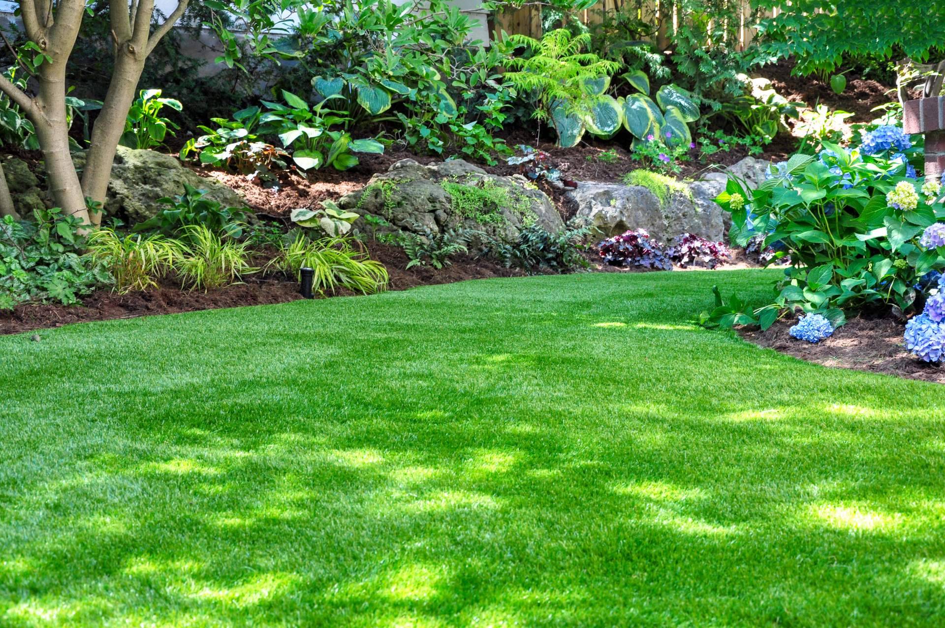 Césped para jardines a bajo coste, con los expertos de Gramigreen