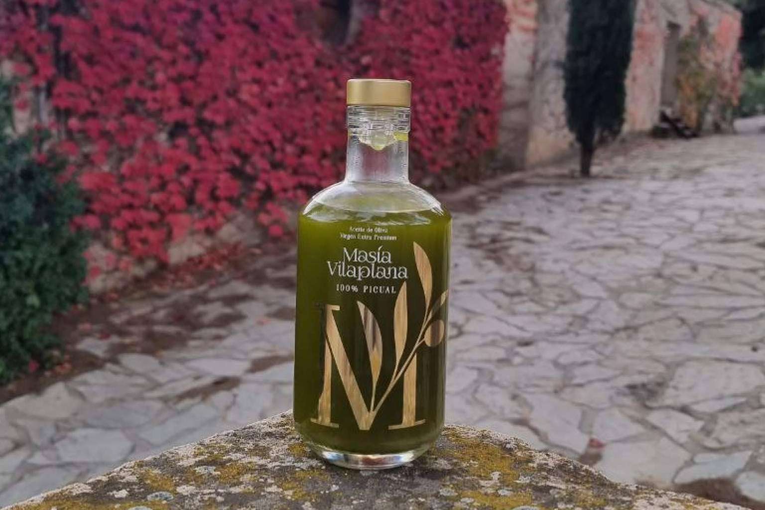La finca Masía Vilaplana produce aceite de oliva virgen extra