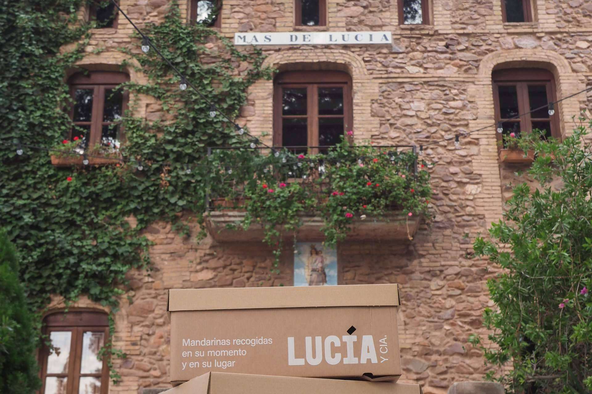 Un tributo a la conexión entre Lucía y Cía. y el Mas de Lucía, el banquete de mandarinas