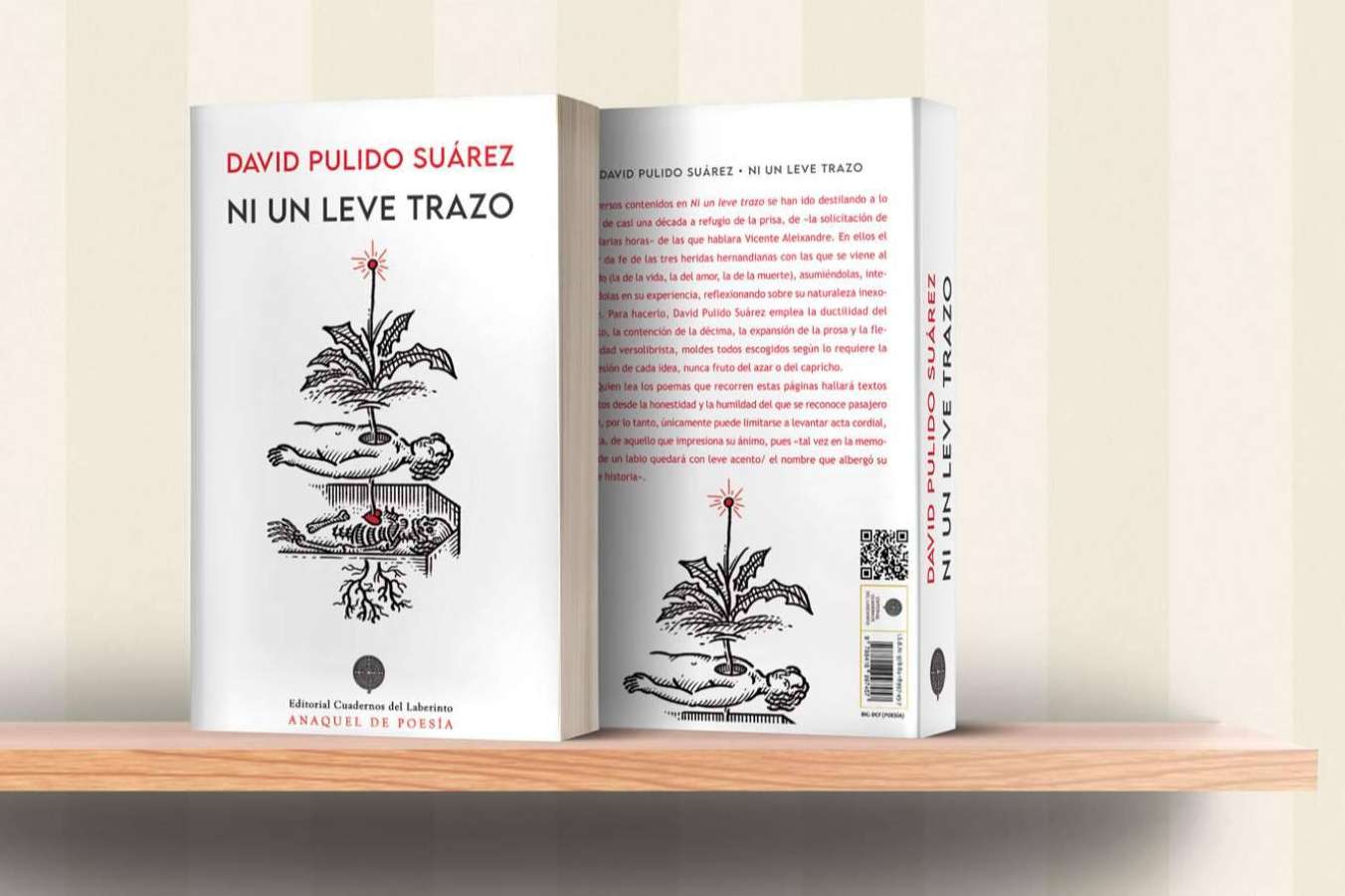 'Ni un leve trazo', los poemas del canario David Pulido reciben el aplauso unánime de los lectores