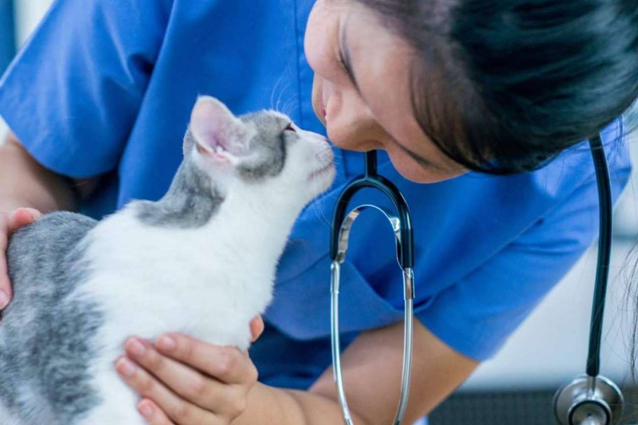 Campus Alianz Formación, el centro para profesiones relacionadas con mascotas