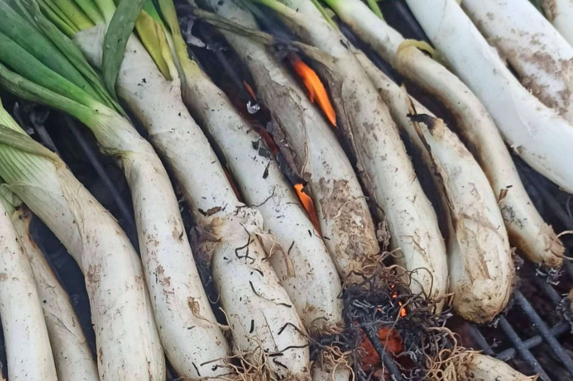 Masia Can Tomàs ofrece un menú renovado y un equipo fortalecido para dar la bienvenida a la temporada de calçots