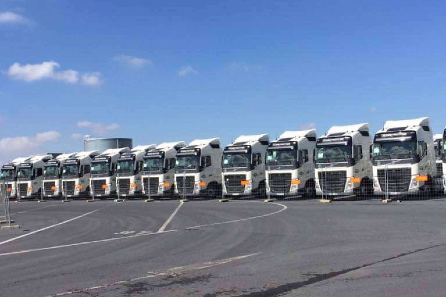 En el ámbito del transporte internacional, Mr. Cargo es un verdadero referente