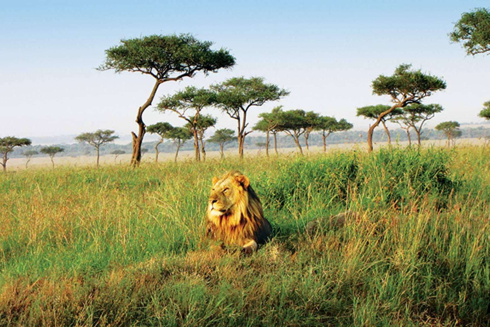 Navegar en un buque Seabourn por África desde Barcelona
