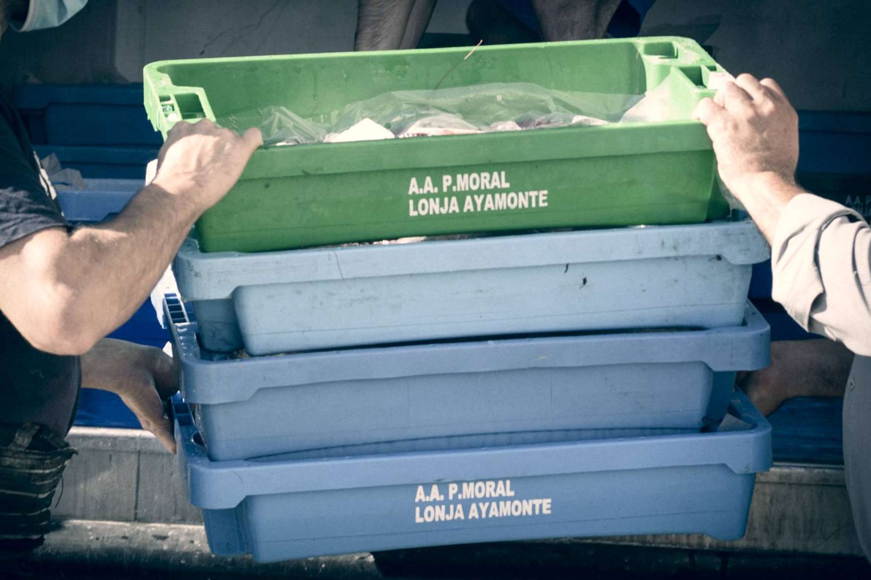 Lonja de Ayamonte, especialistas en la venta online de marisco en Huelva