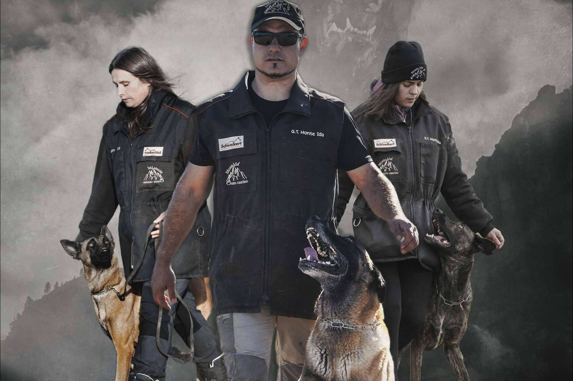 En pleno auge se encuentra la profesión de éxito de adiestrador canino