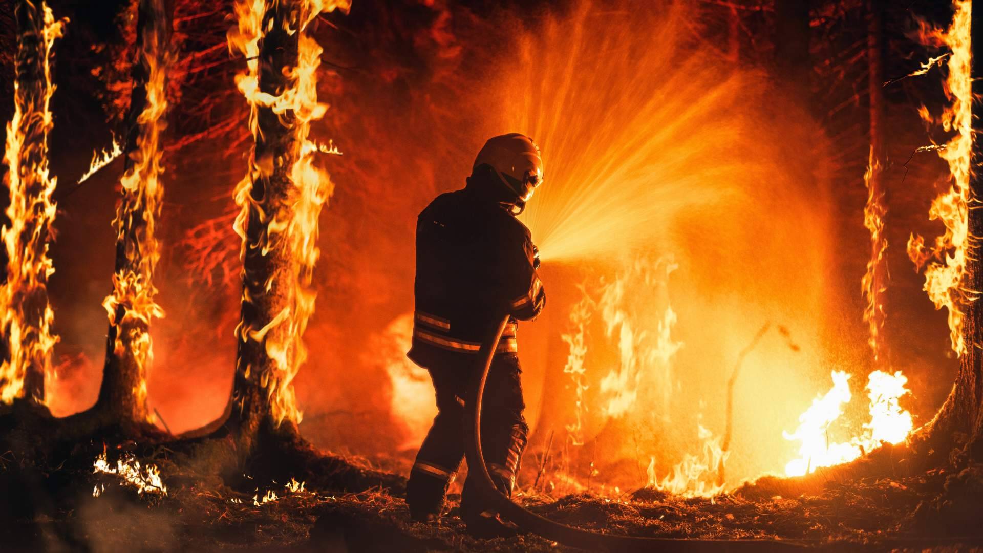 Algunos motivos para elegir NB Oposiciones a Bombero