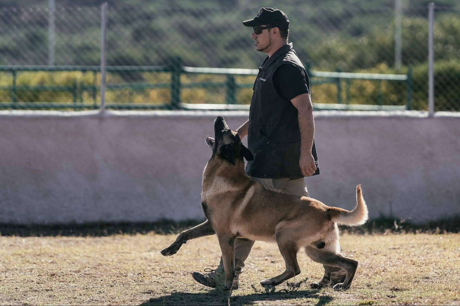 Curso de adiestramiento canino ofrecido por Monte Ida