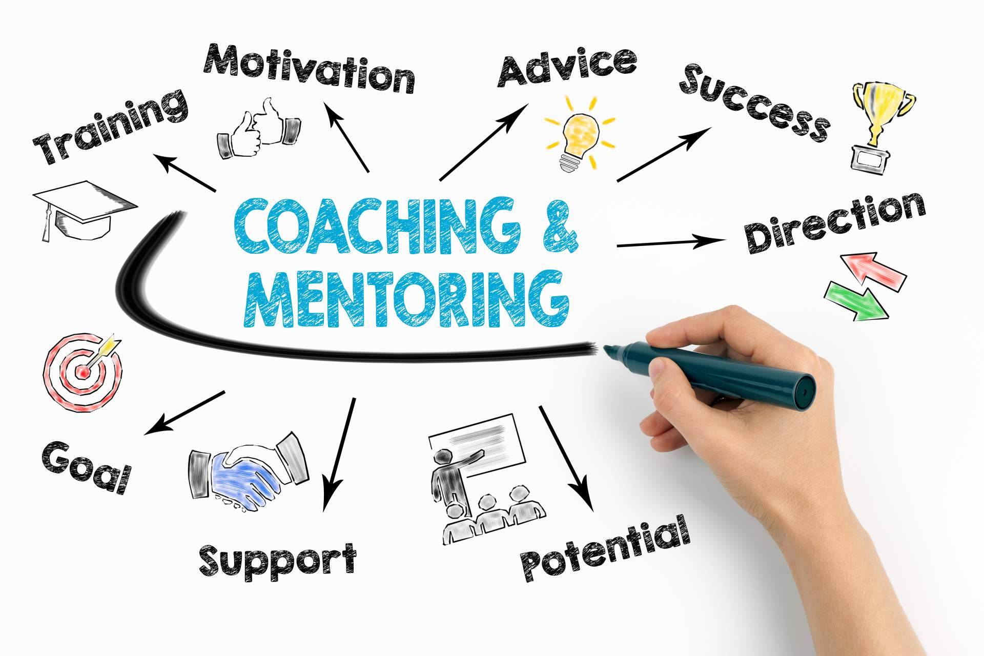 Estructurar los procesos de venta con máxima efectividad gracias a las mentorías