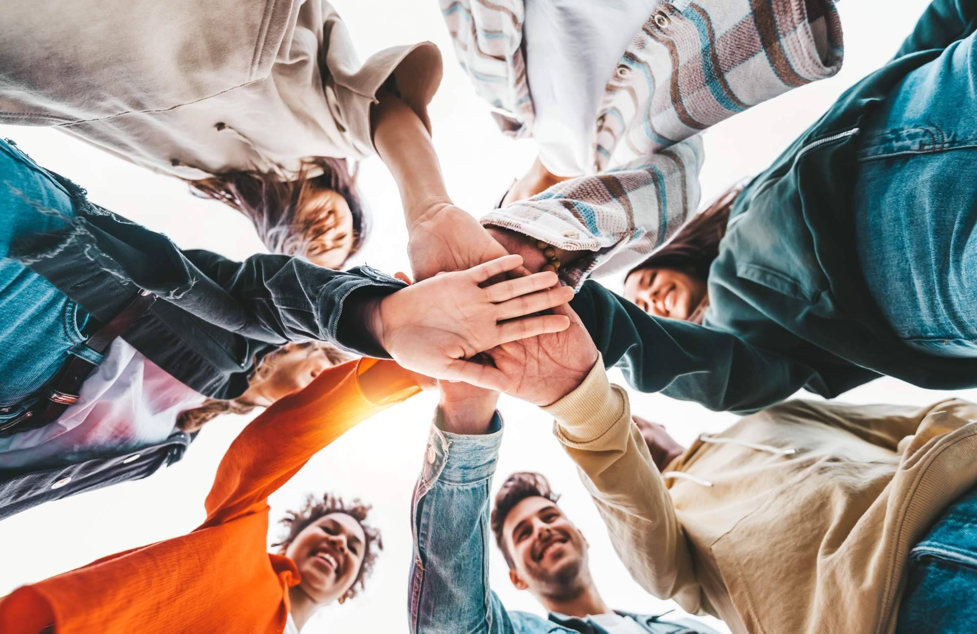 La red social que permite al voluntario interacciones con otros usuarios y con las entidades, Volungo