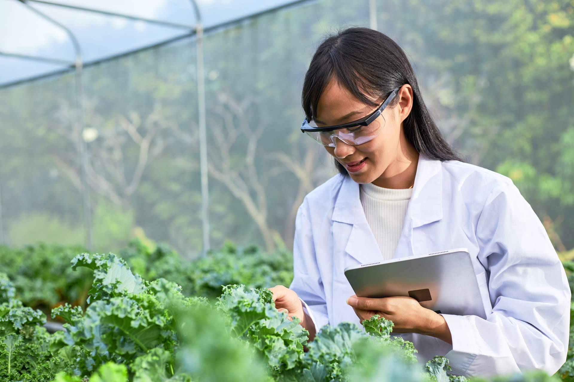 Los expertos gestionan la obtención del Certificado GlobalG.A.P. de buenas prácticas agrícolas