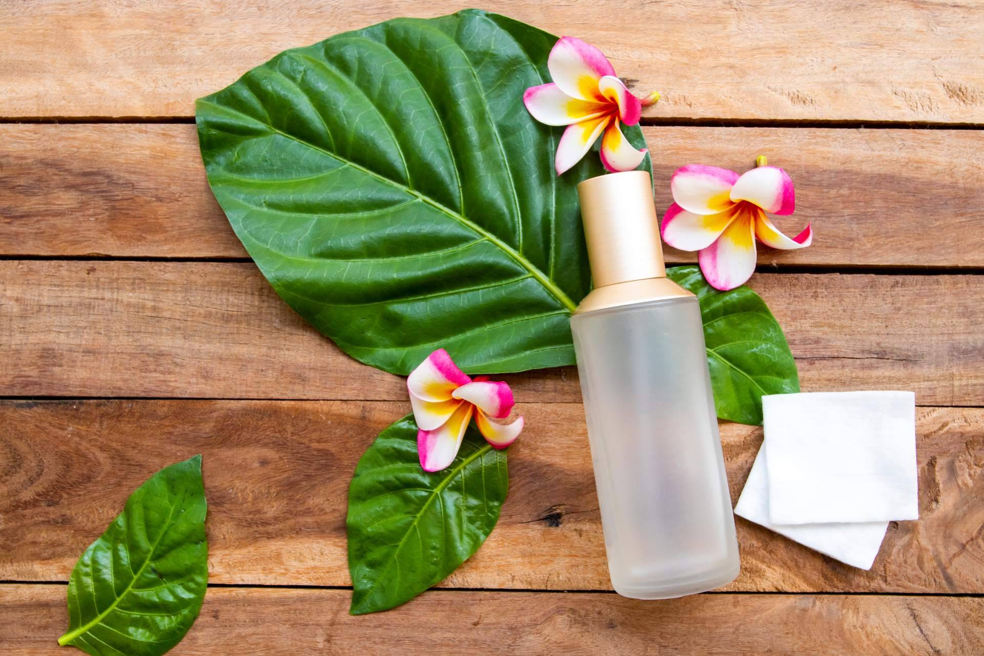 South Hemp revoluciona el mercado español de cosmética con biotecnología natural y sostenible