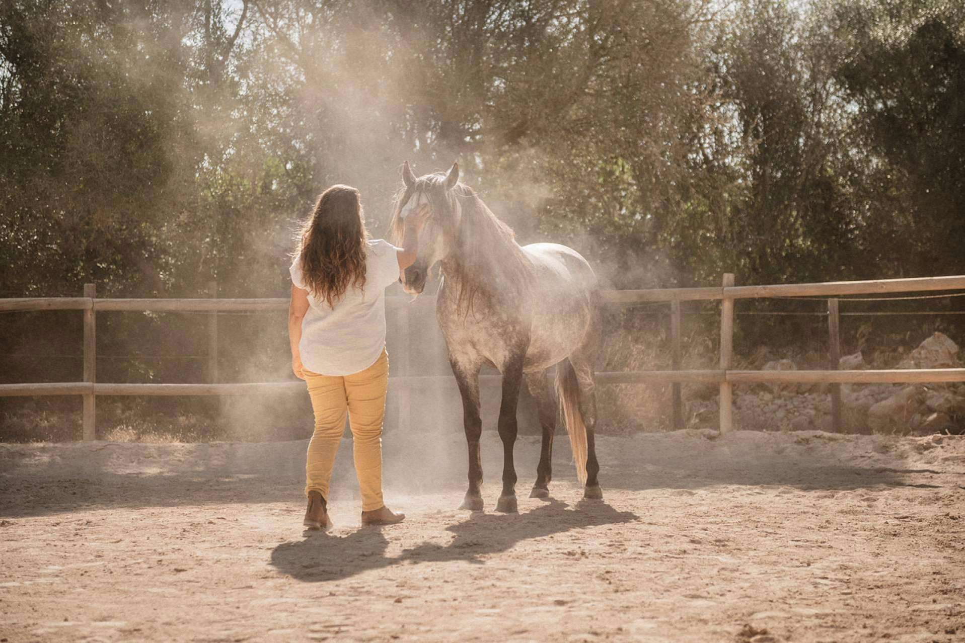 Recuperar la autenticidad por medio del coaching individual asistido por caballos con Son Cavalls