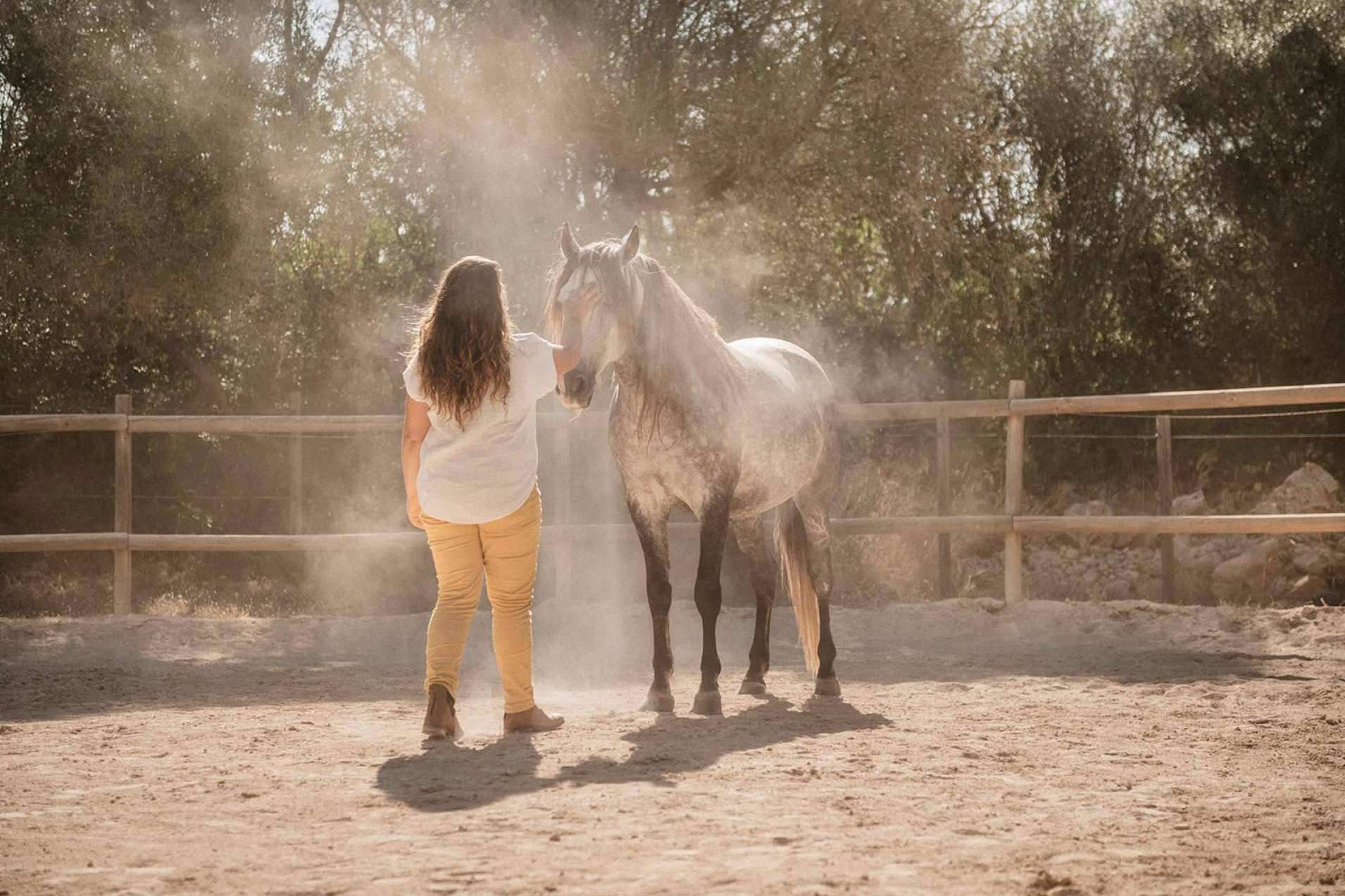 Desarrollo personal a medida, de la mano de Son Cavalls