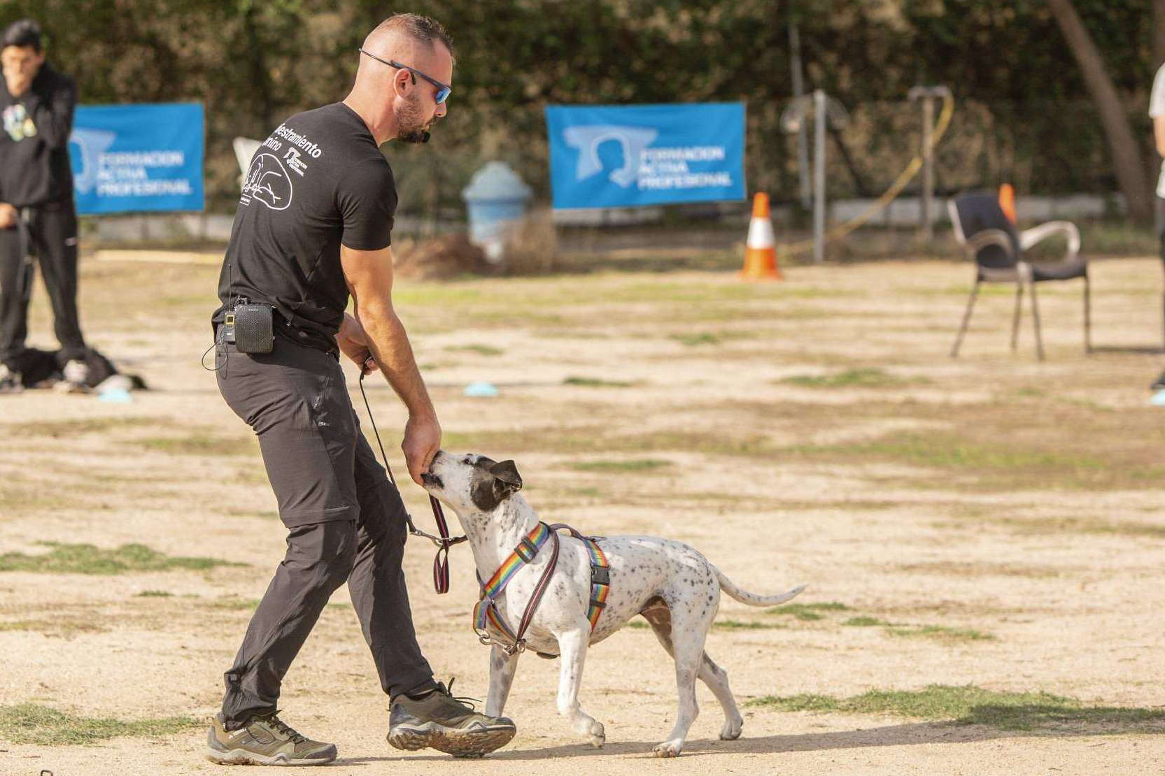 Convertirse en expertos caninos, la opción de cada vez más personas