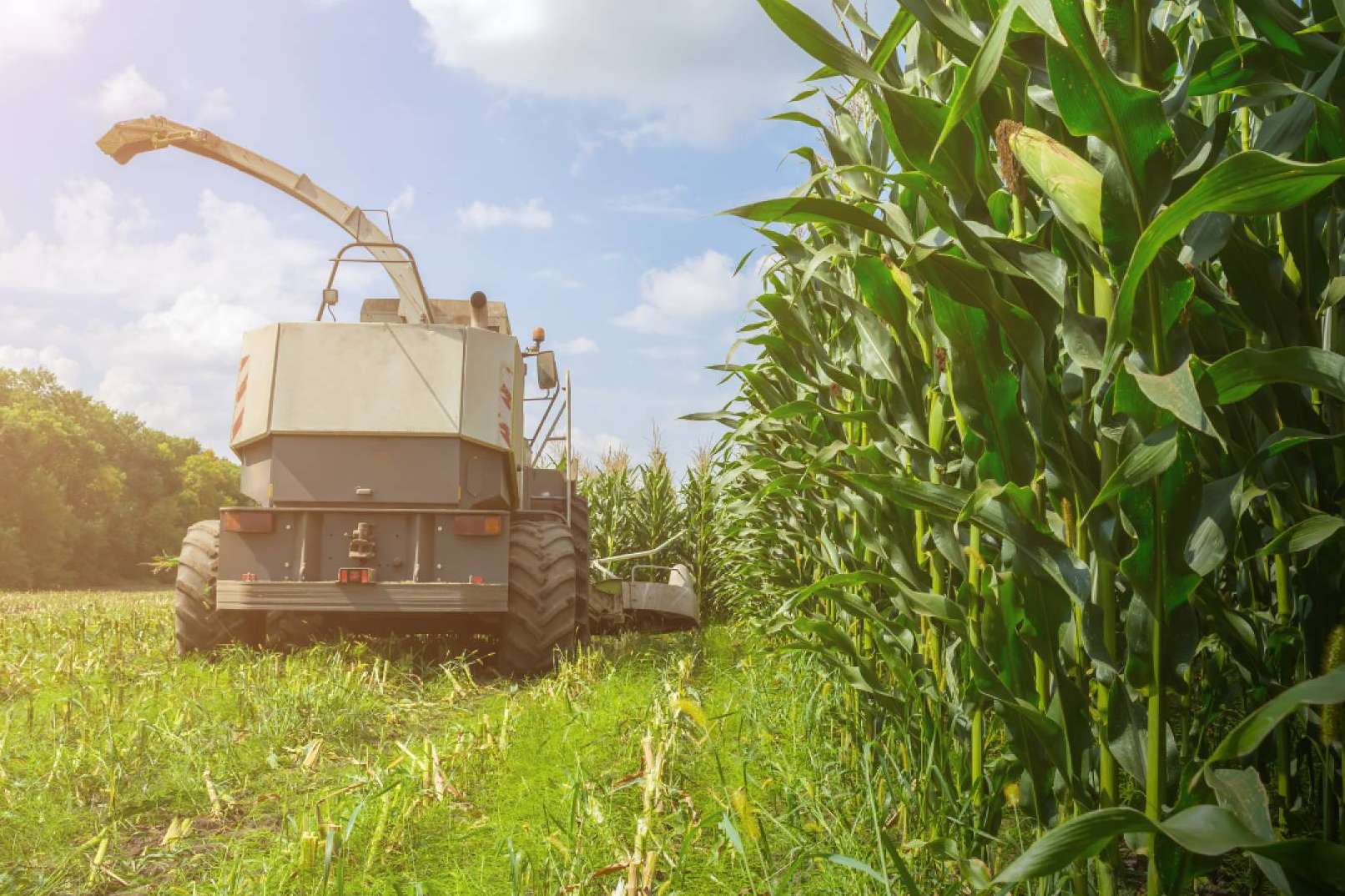 Seguros para maquinaria agrícola de la mano de Ucoga