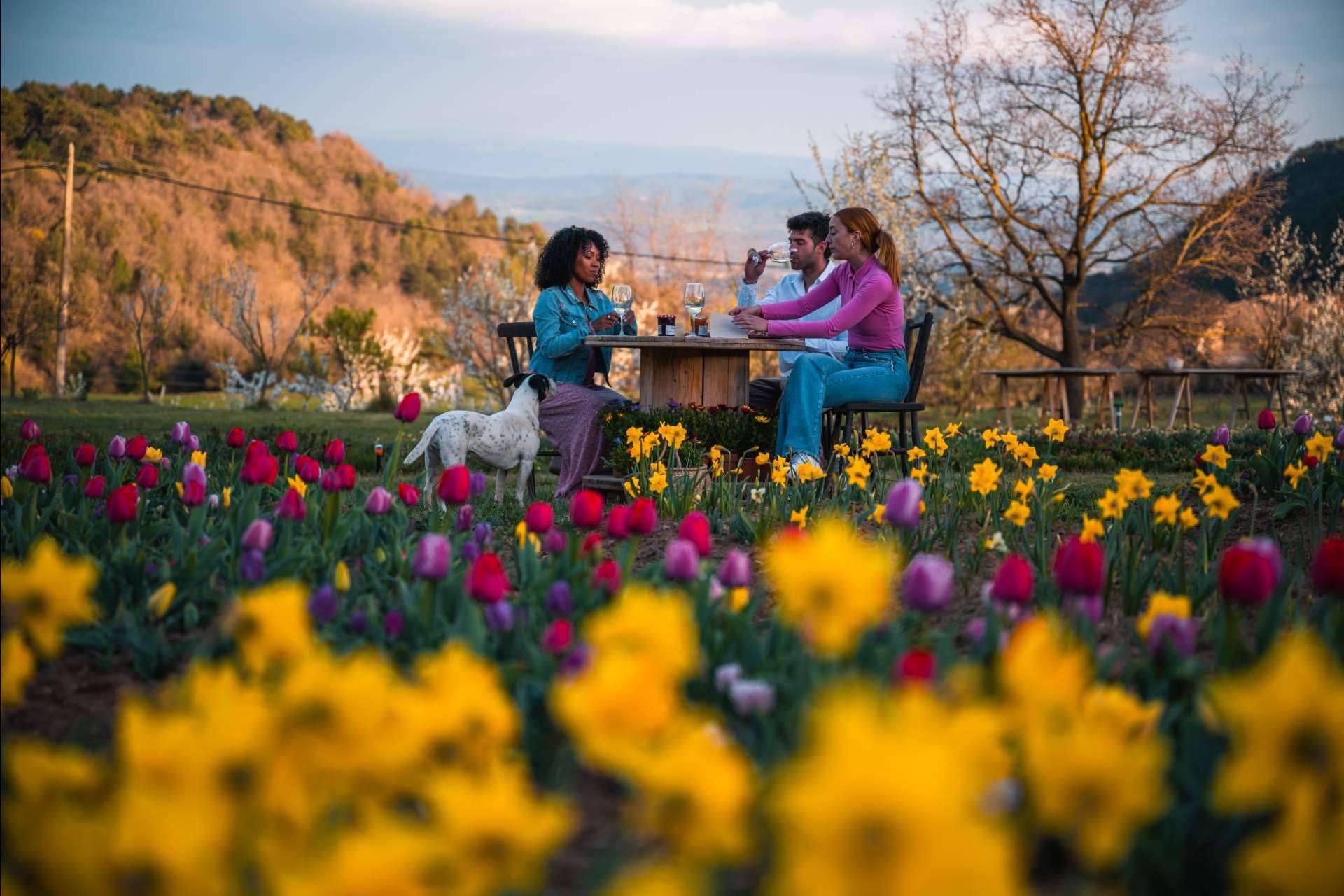 Niudàlia es un refugio ideal para los amantes de la naturaleza y las flores