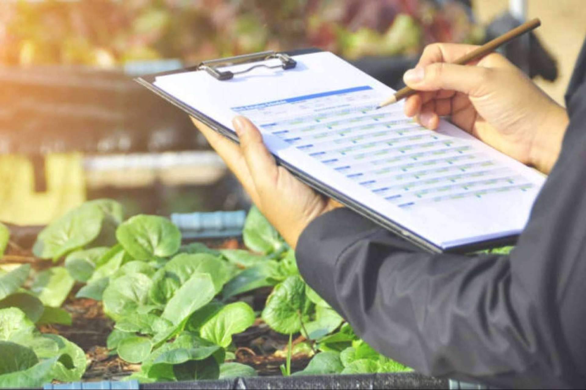 QualitApp, una plataforma tecnológica de Locatec para transformar el sector agroalimentario