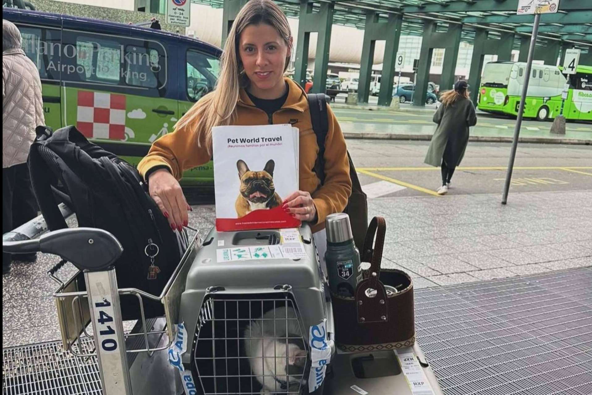 Todo lo que se necesita para emigrar a otro país con mascotas, por Pet World Travel