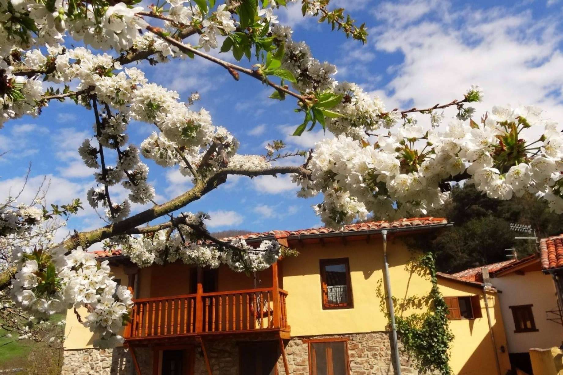 En el valle de Liébana La Perezosa ofrece un plan de vacaciones alternativas con yoga
