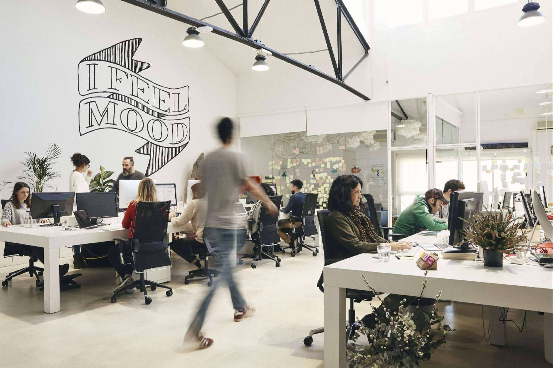 The Mood Project ayuda a conseguir negocios de éxito a partir de la creación de marca