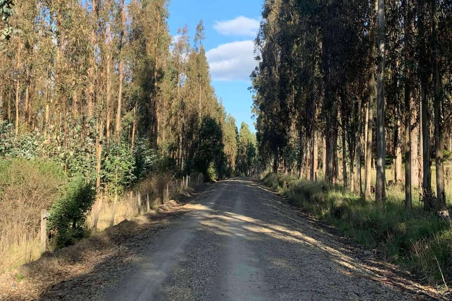 La calidad de vida de Chile asegura las inversiones inmobiliarias en el país
