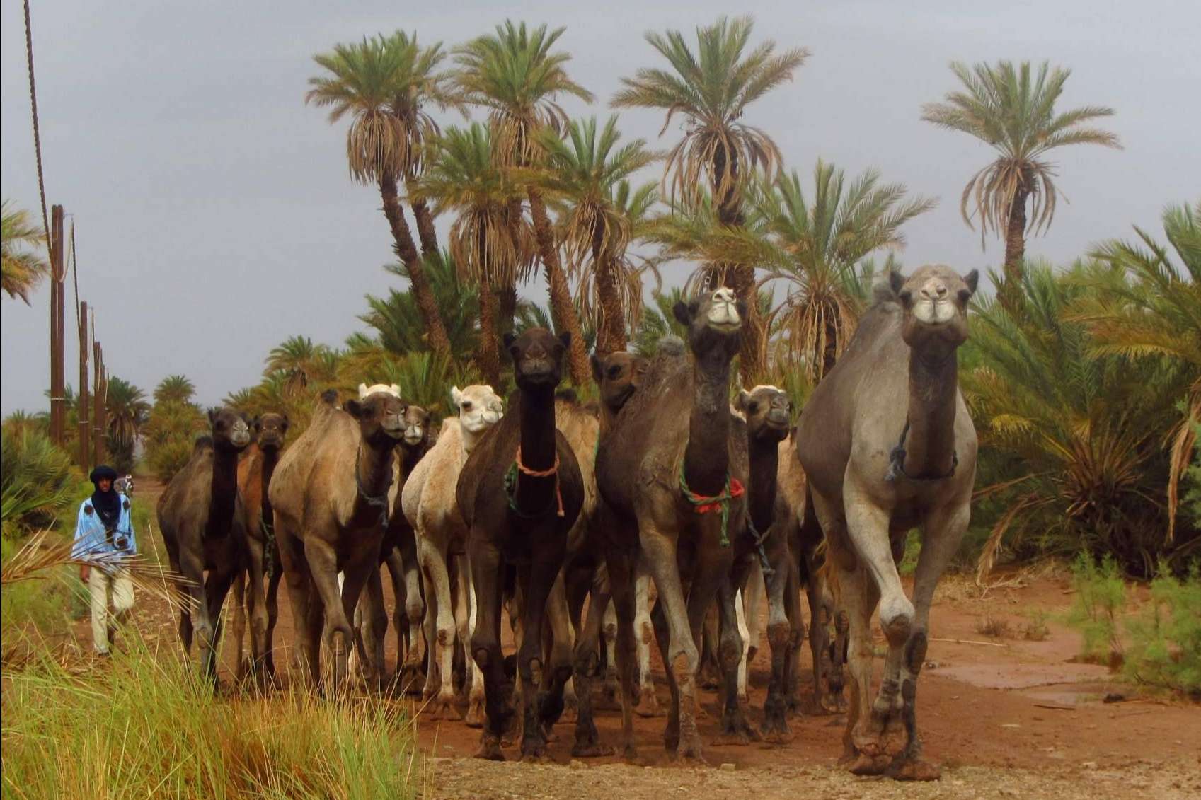 Atar Experience presenta 5 rincones de Marruecos fuera de las rutas turísticas