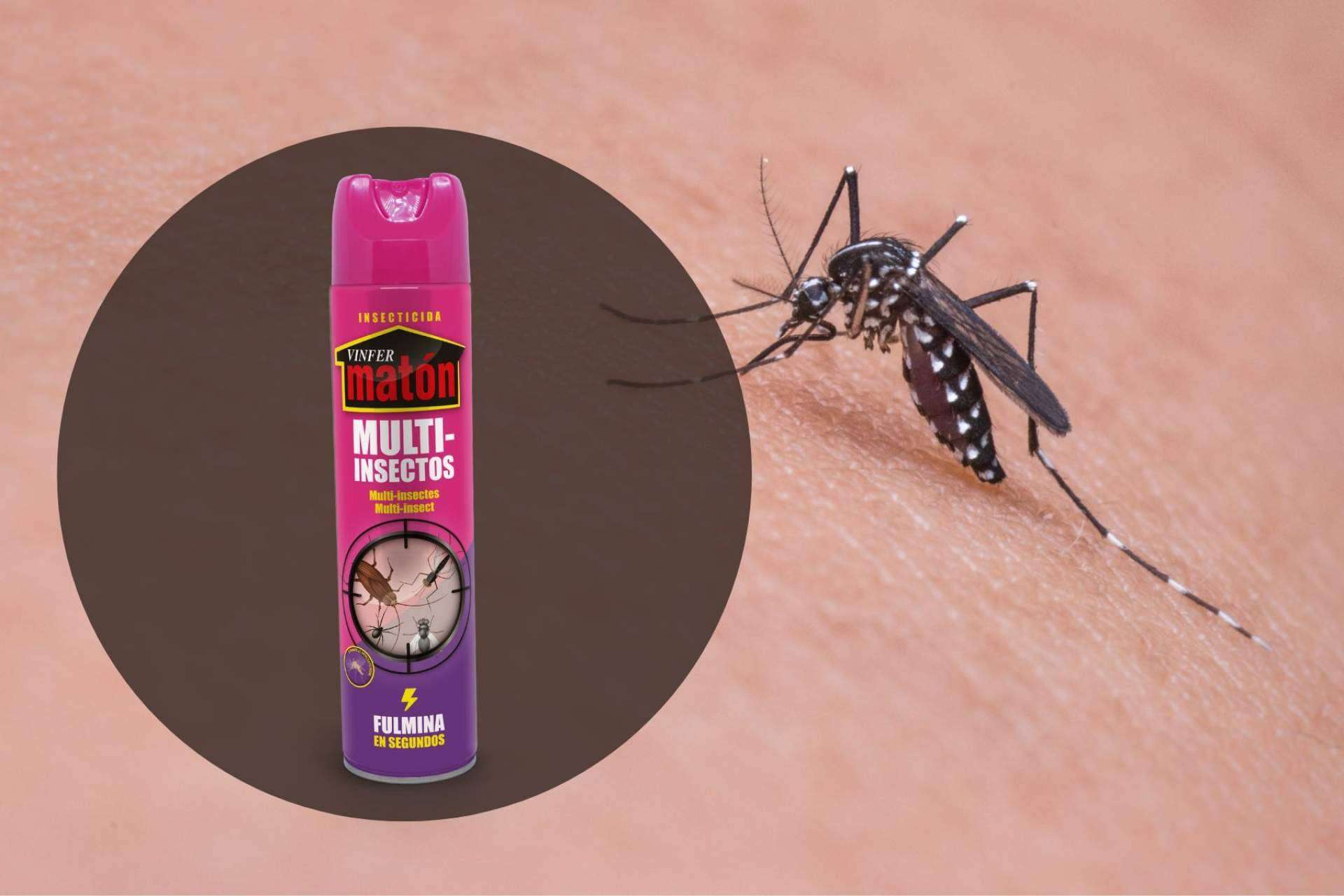 Efectividad en la eliminación del mosquito del Nilo, con el insecticida Vinfermatón de Laboratorios Vinfer