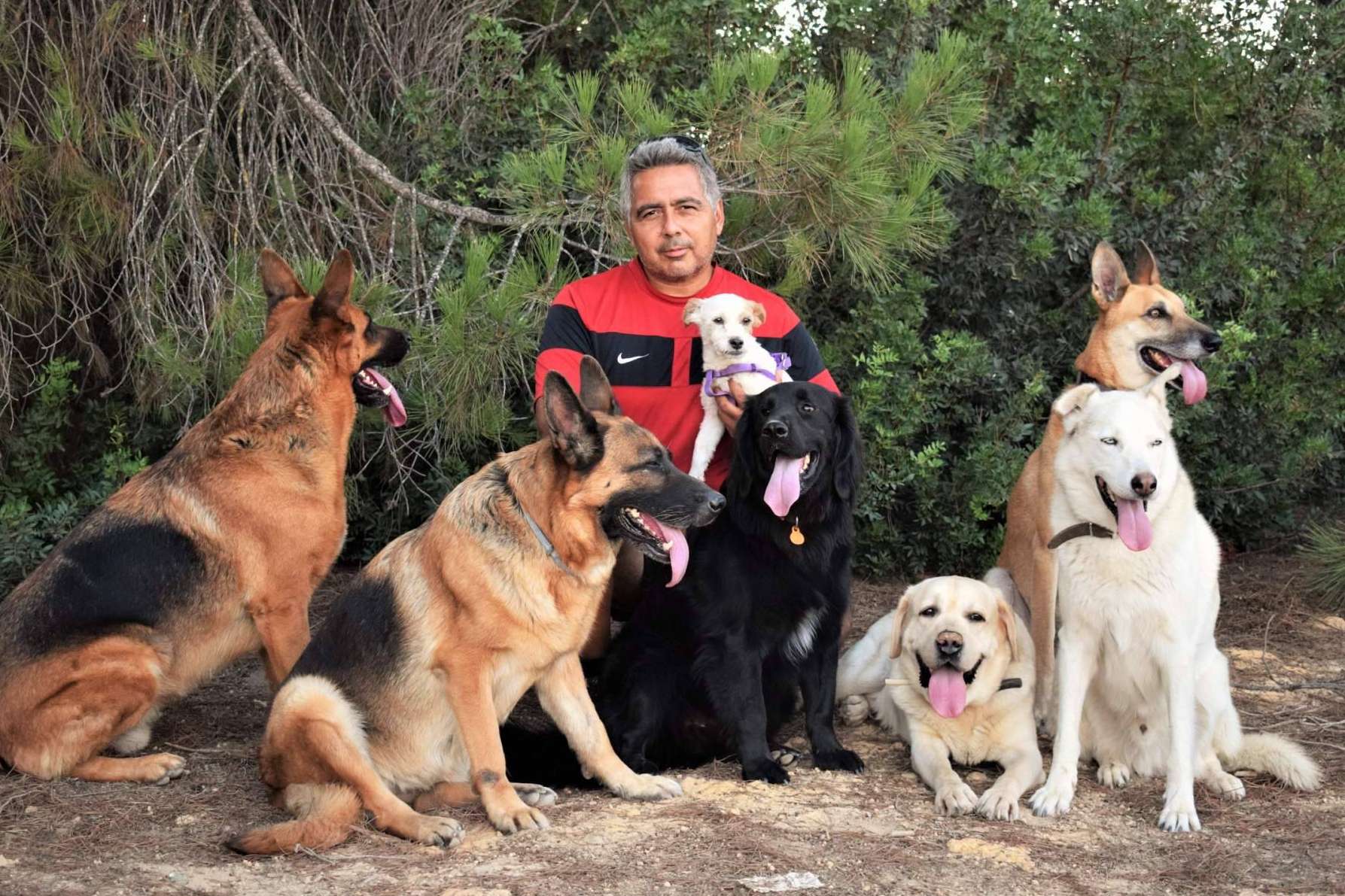 4EverDogs presenta un curso sobre el Método Natural Leading en la educación canina