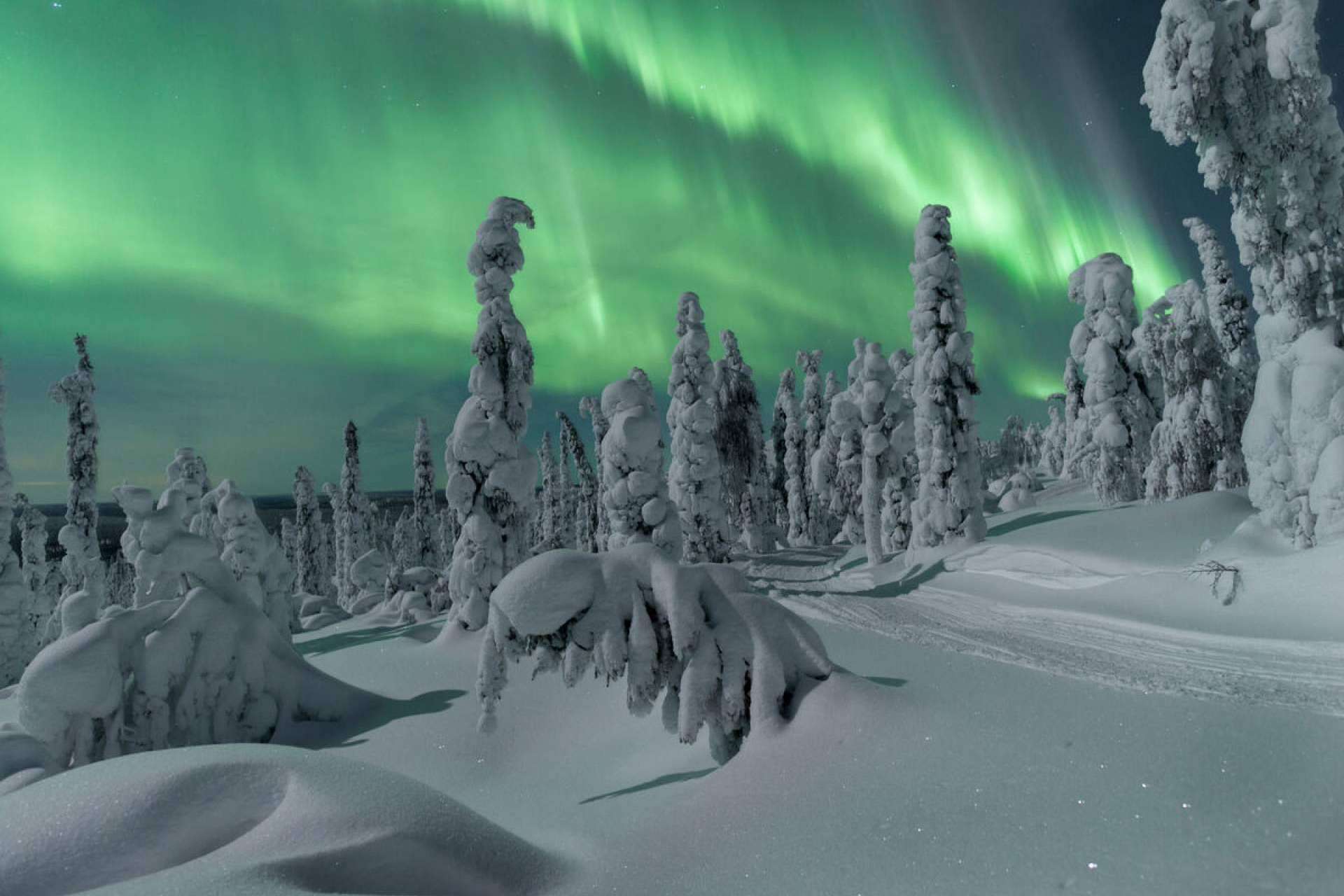 Visita Laponia ofrece noches mágicas en iglús de cristal bajo las auroras boreales