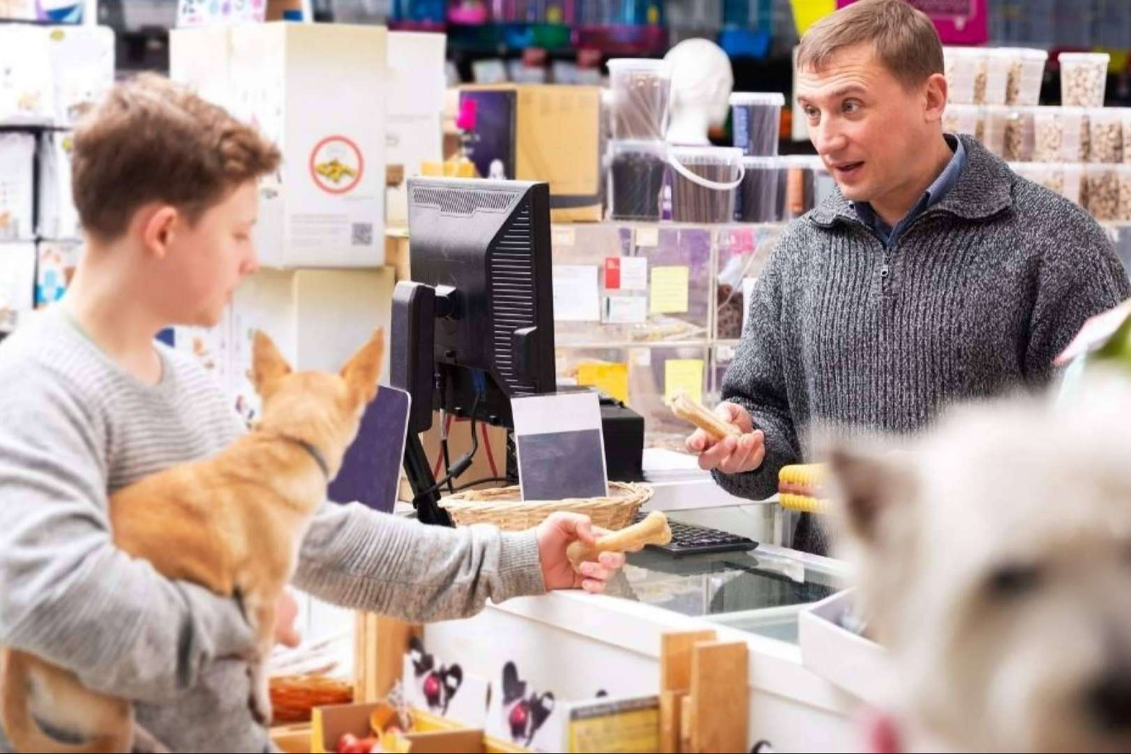 Gestor PetShop; Cumple con VeriFactu en Peluquerías y Tiendas de Animales