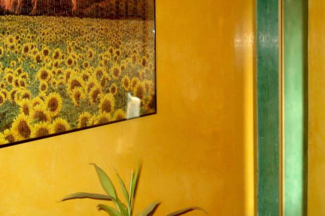 Dónde encontrar un pintor decorativo y aplicador de pinturas de alta decoración en Madrid