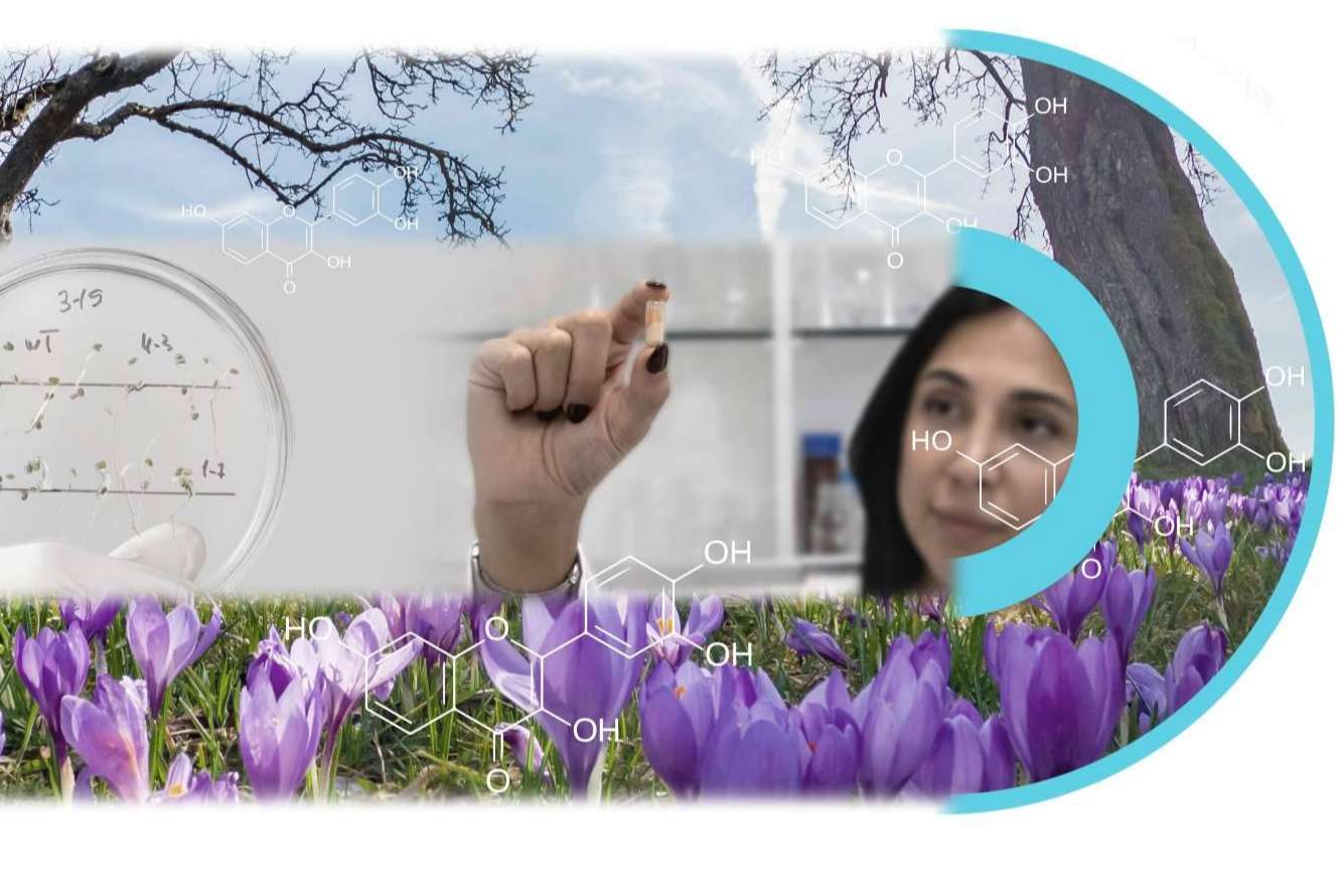 Aora Health transforma la industria nutracéutica con su innovadora patente Cap in Cap