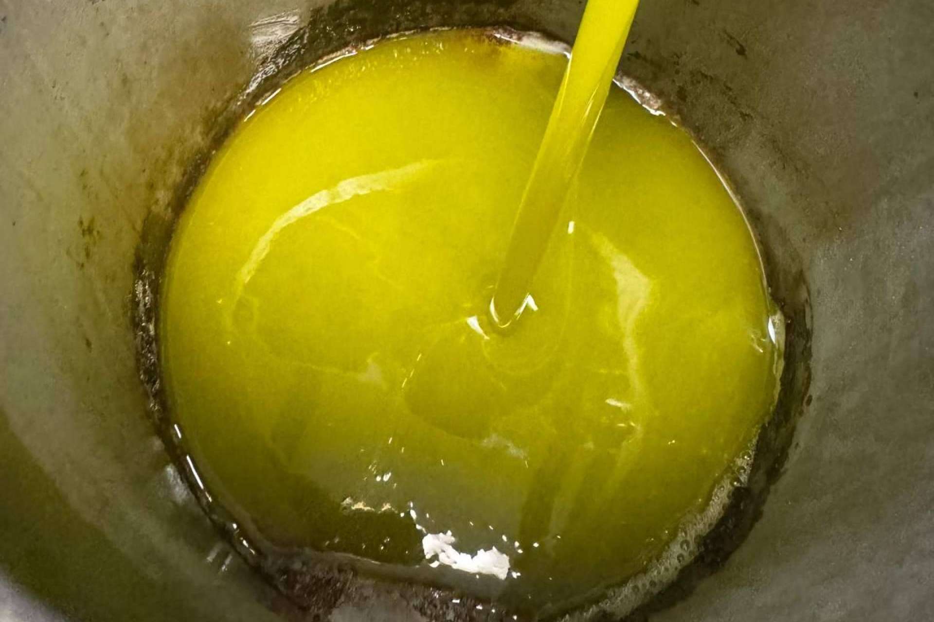 Del olivar a la botella, el viaje exquisito del aceite de oliva gourmet de Tercio de las Torres