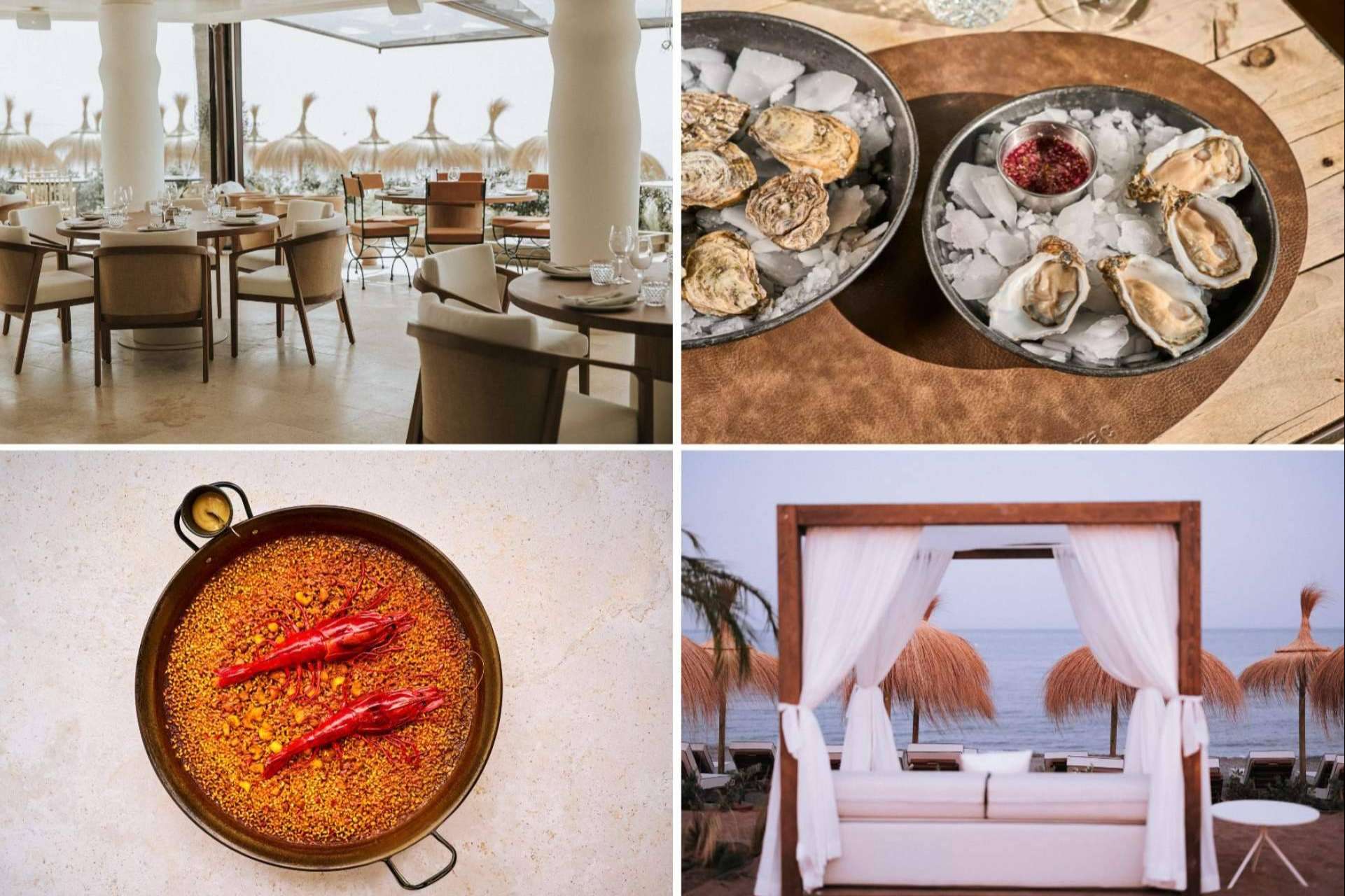 Sabores exclusivos y lujo relajado. La nueva temporada de Barbillón Marbella ya está aquí