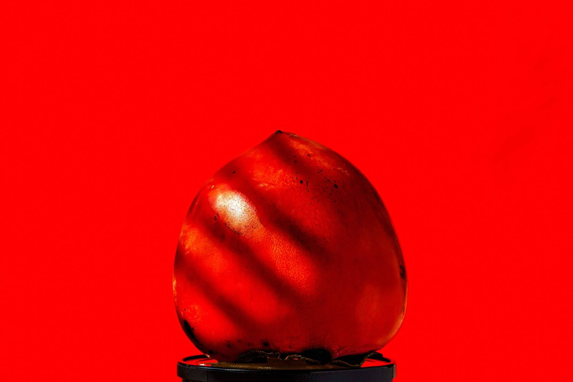 Licopeno; el antioxidante clave para prevenir el envejecimiento prematuro causado por el sol