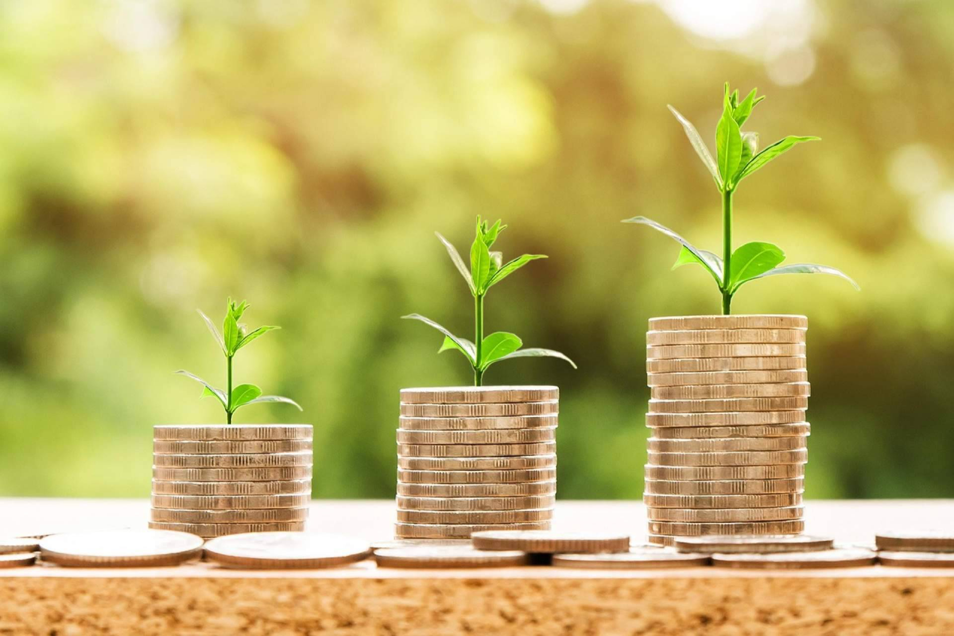 Cómo generar riqueza y gestionarla con una mejor educación financiera