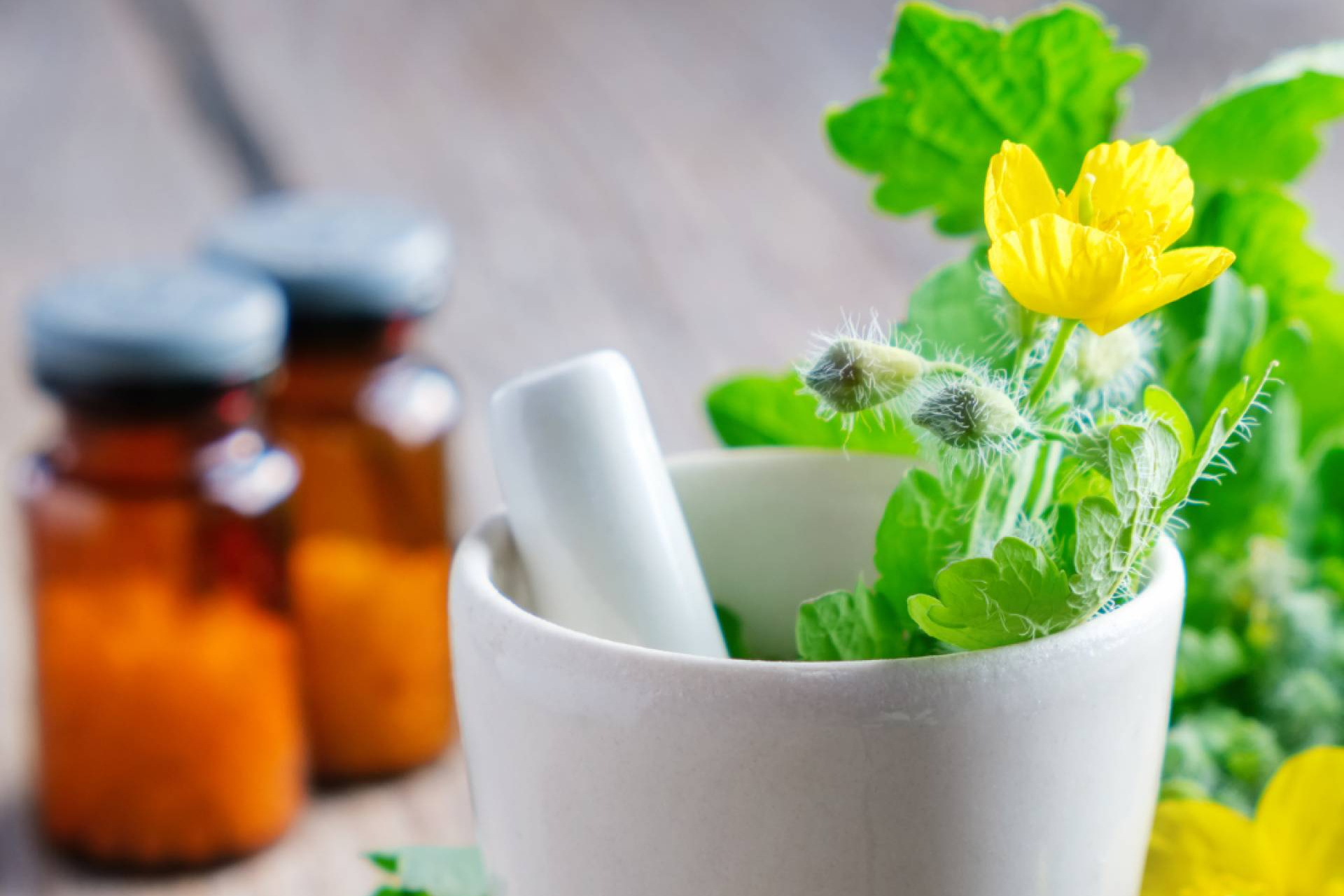 Cursar Naturopatía con ISED; itinerario profesional con Nutrición y Fitoterapia en tres ciudades