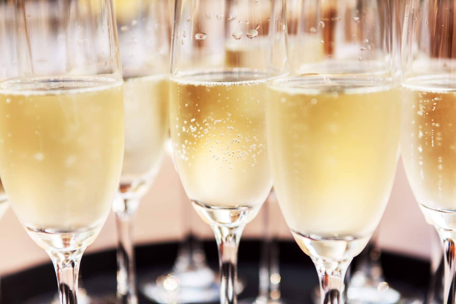 Naturelovers Wines refuerza el mercado digital con vinos ecológicos y cavas de autor