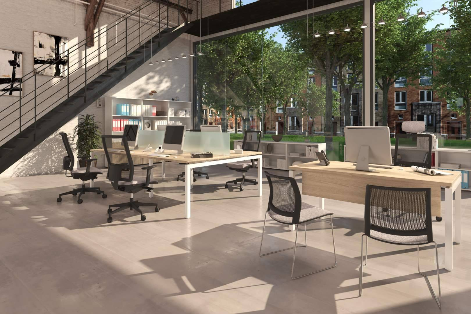OfficeDeco transforma los espacios de trabajo en entornos funcionales y agradables